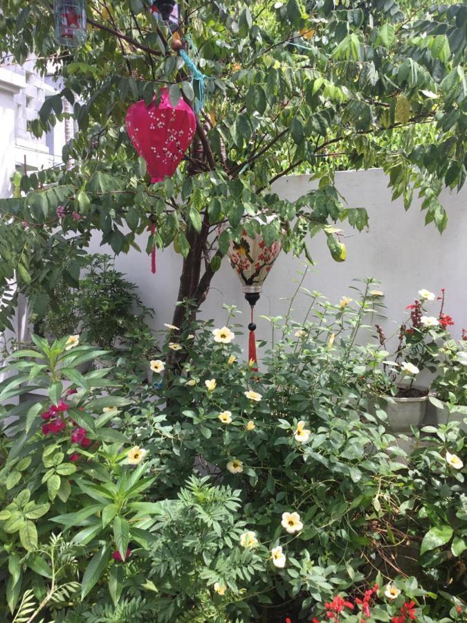 Star Garden Hoi An Apartment Bagian luar foto