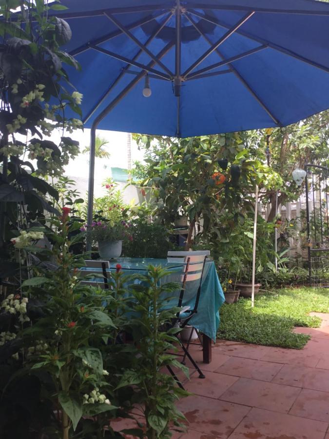 Star Garden Hoi An Apartment Bagian luar foto