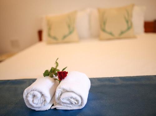 Star Garden Hoi An Apartment Bagian luar foto