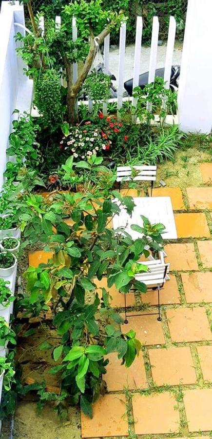 Star Garden Hoi An Apartment Bagian luar foto